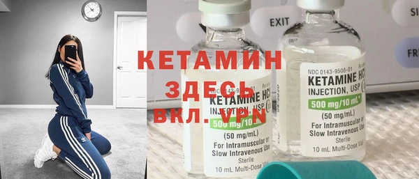индика Алексин