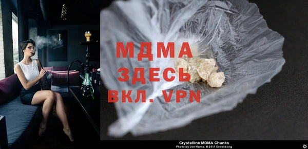 индика Алексин