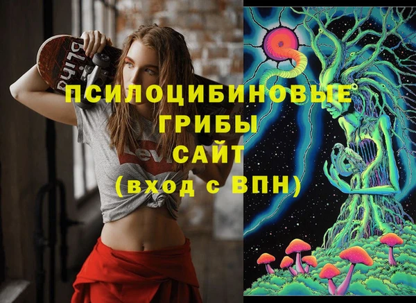 индика Алексин