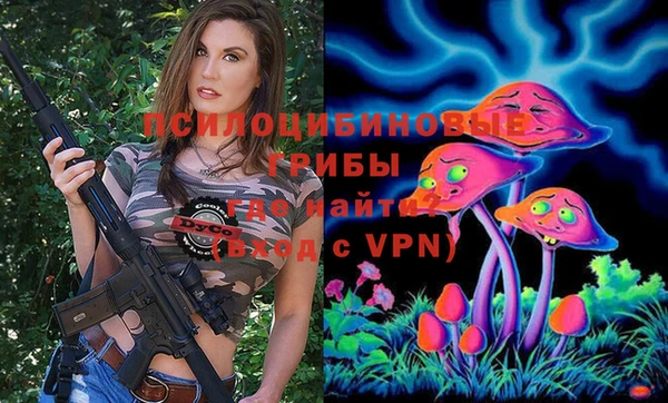 альфа пвп Алексеевка