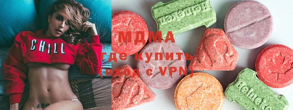 индика Алексин