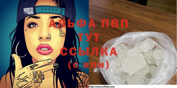 индика Алексин