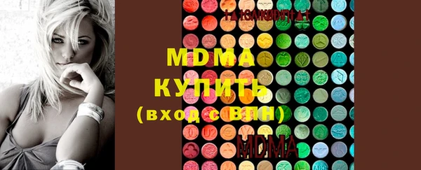 индика Алексин