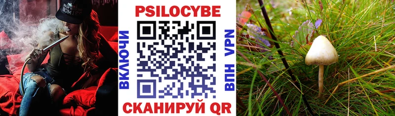 Псилоцибиновые грибы мухоморы  Андреаполь 